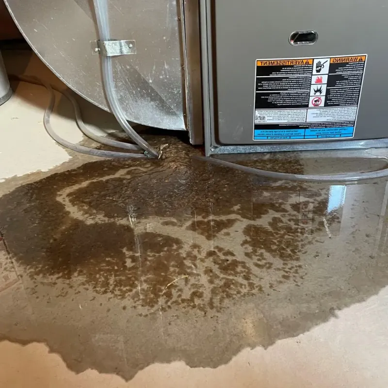 Pipe Burst and Leak Restoration in North Reading, MA